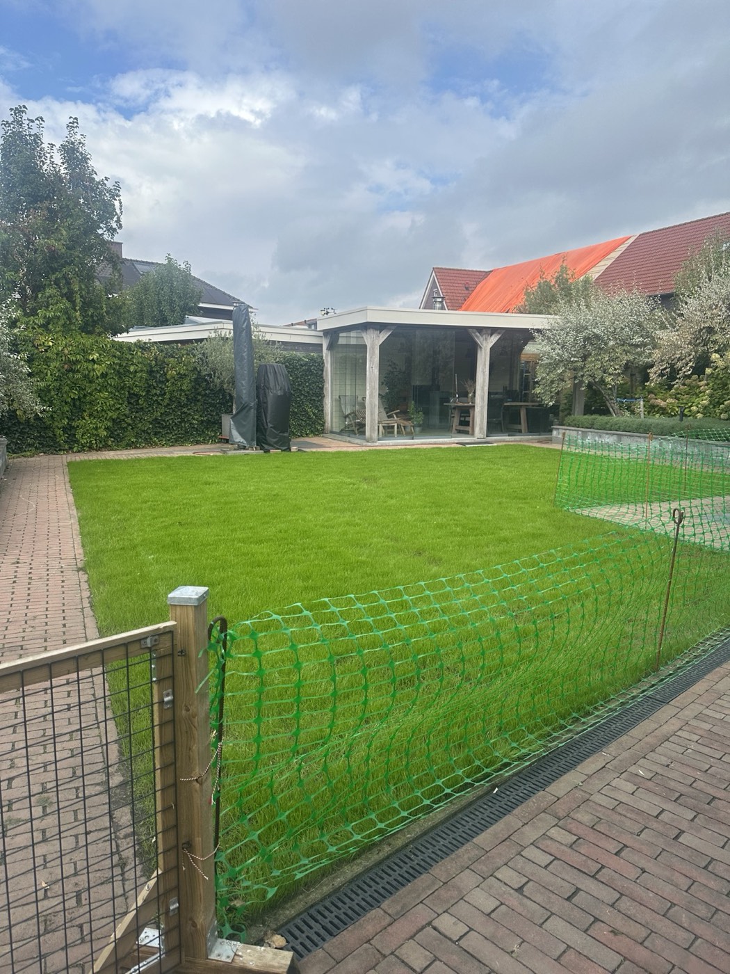 Achtertuin in Etten-Leur op 11 september met een dicht nieuw gazon